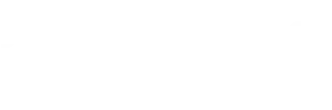 dataglobal group logo