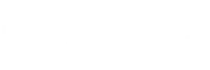 Seleon logo